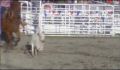 dr dolittle 3-avi_1000_063.jpg